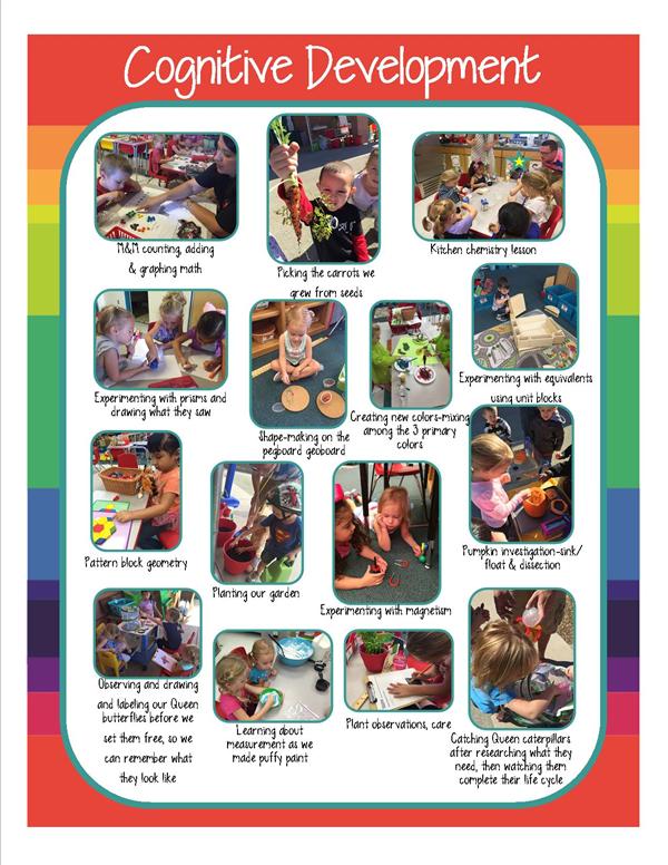 Cognitive Development Pics Cognitive Development Pics